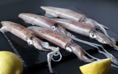 整只本港鱿鱼 整只本港鱿鱼